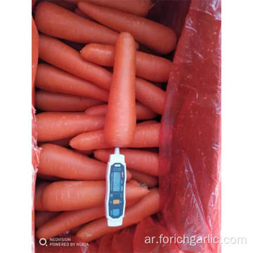 Fresh Carrot New Crop 2019